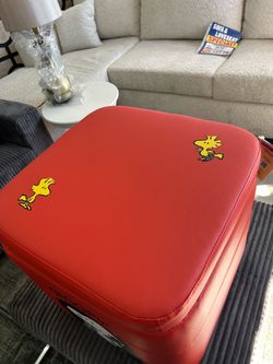 Snoopy ottoman with storage