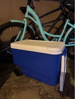 Igloo Cooler 38QT
