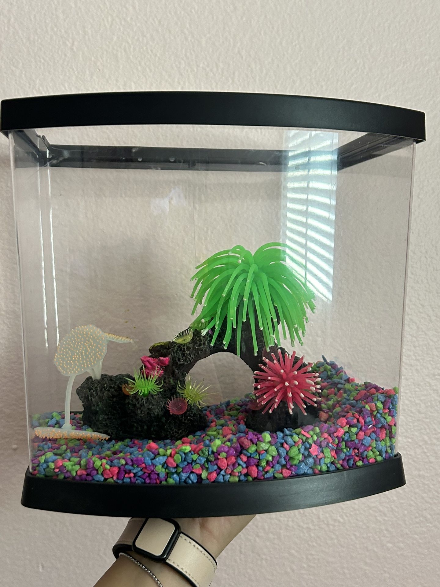 Fish Tank With Accessories