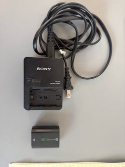 genuine Sony BC-QZ1 charger and battery