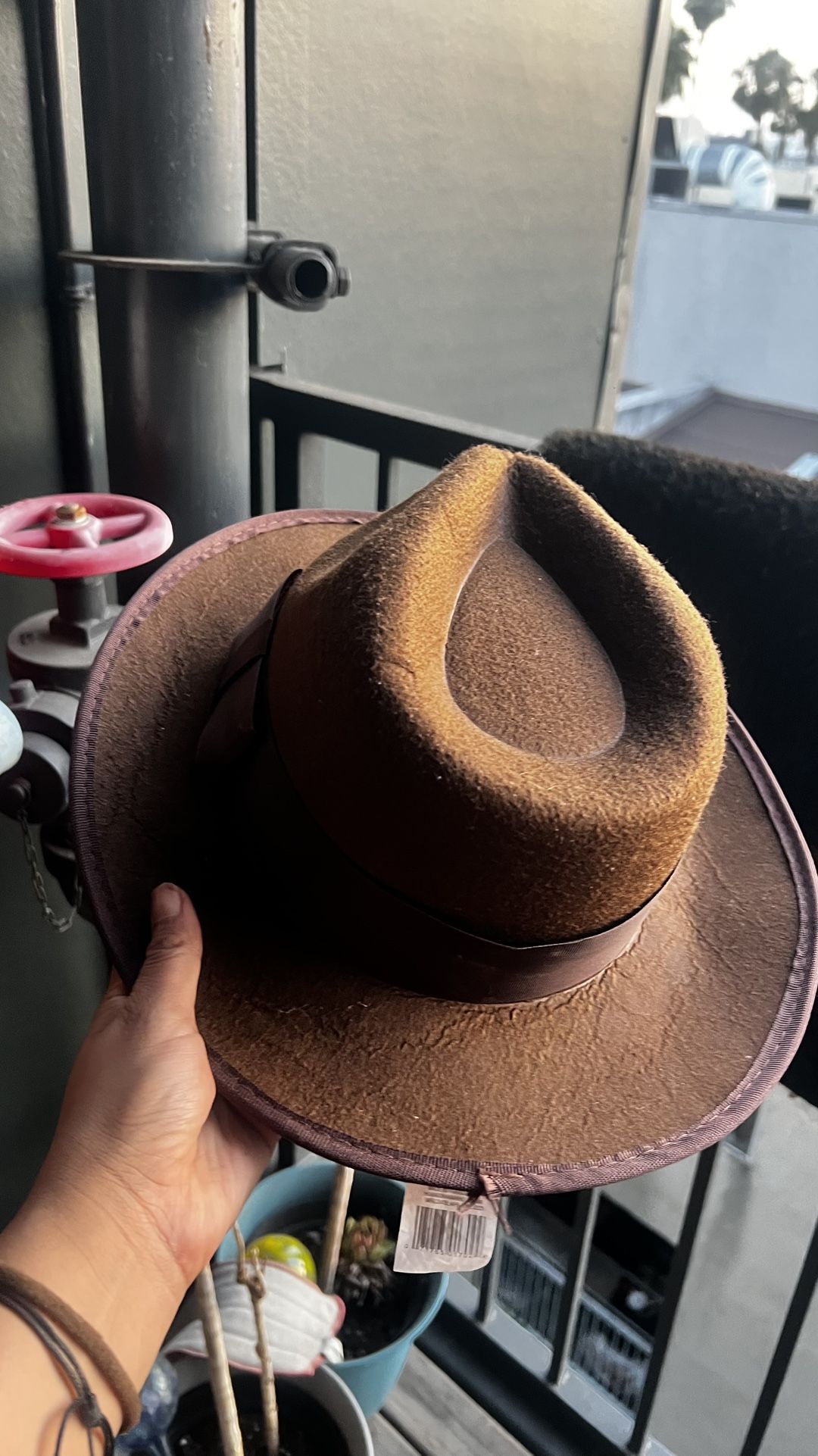Hay Iike Indiana Jones