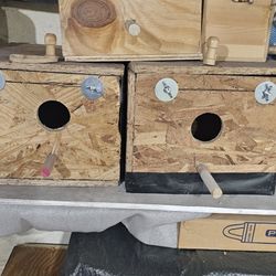 Bird Nest Is In A Perfect Condition 
