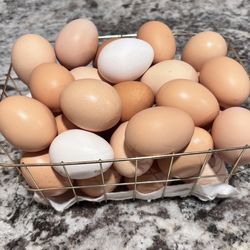 Farm Fresh Eggs – Laid Daily! 🐓