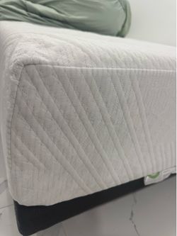 Queen bed with electric base