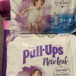 PULL-UPS SISE 2T-3T…..36 Ct…$15