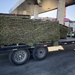 Grass Sod