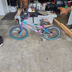 Girls Bicycle 