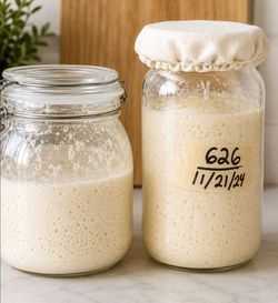 Sourdough starter