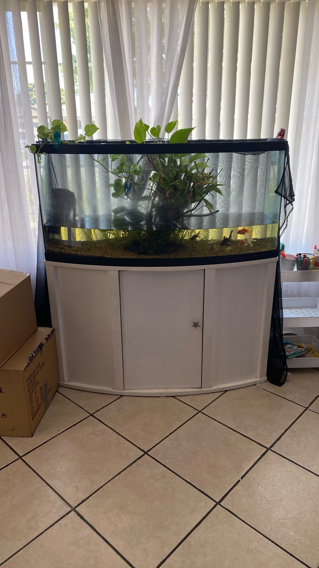 Fish Tank And Stand