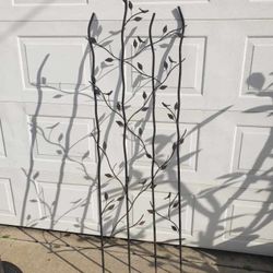 Plant Trellis