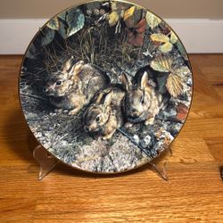 The Bradford Exchange, W. S. George Collectors Plate, “Shy Explorers”