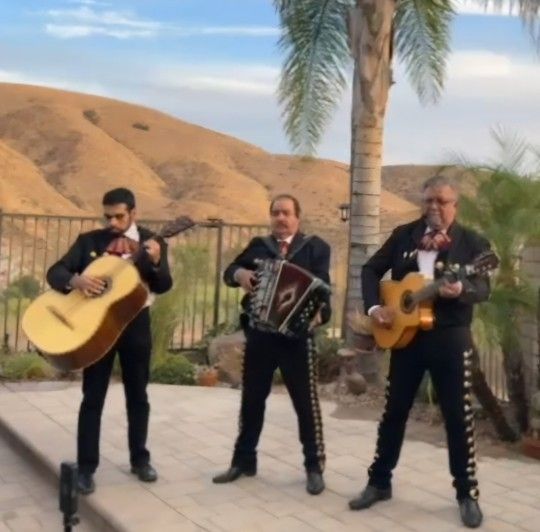 Mariachi Guitars Acoustic