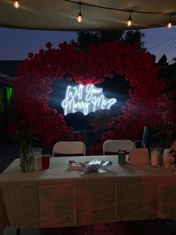 Will you marry me- neon sign