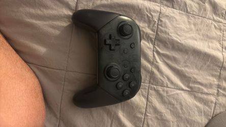 Nintendo switch pro controller