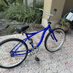 Jami’s Cruiser Bike 26”