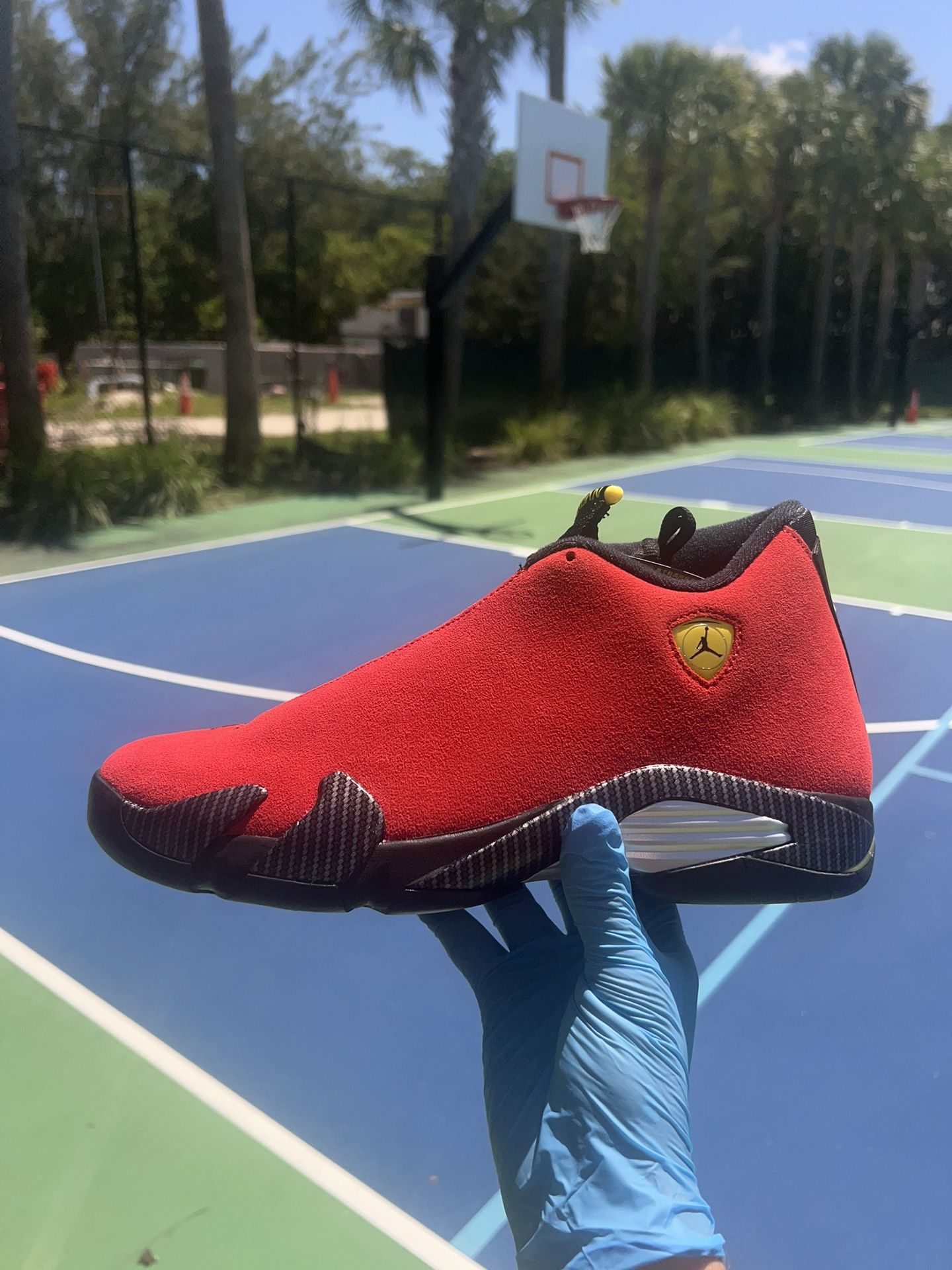 Jordan 14 Ferrari New DS Og All 