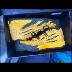 Mb.03 Porsche Sz 8.5