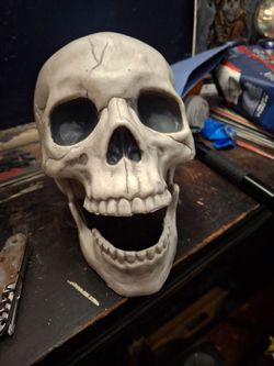 Skull and Fedora