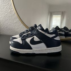 Nike Dunk Toddler size 6.5c