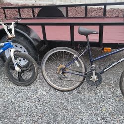 Diamondback/ Moongoose Bikes