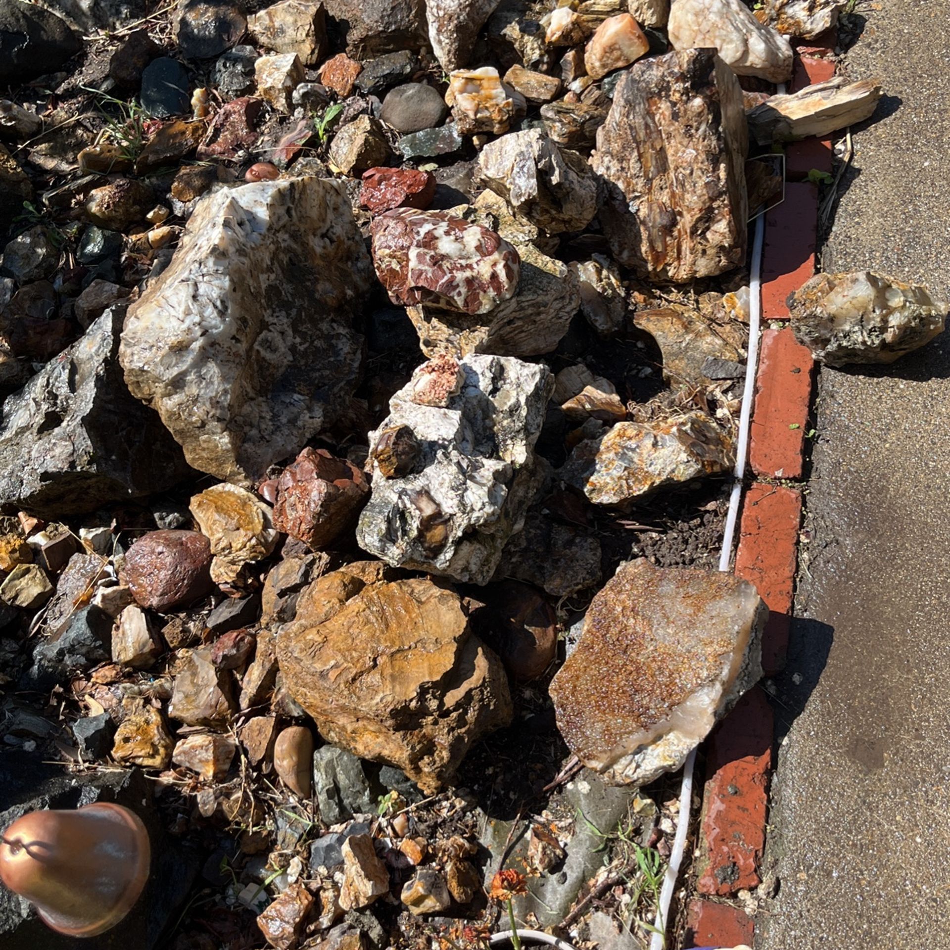Petrified Wood