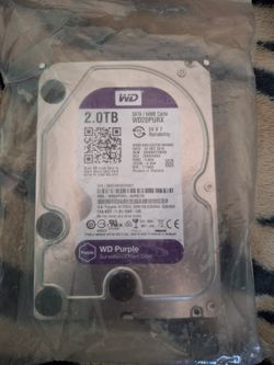 2.0 TB HDD (WD Purple)