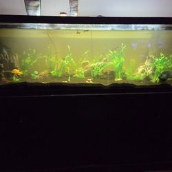 125G Marineland Aquarium