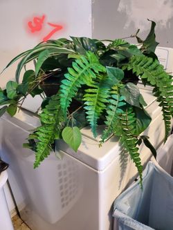 $5 Fake Plant Decor