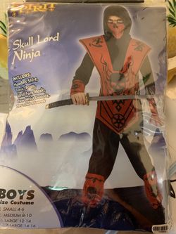 Ninja costume