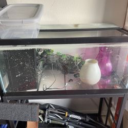 40 gallon Fish Tank