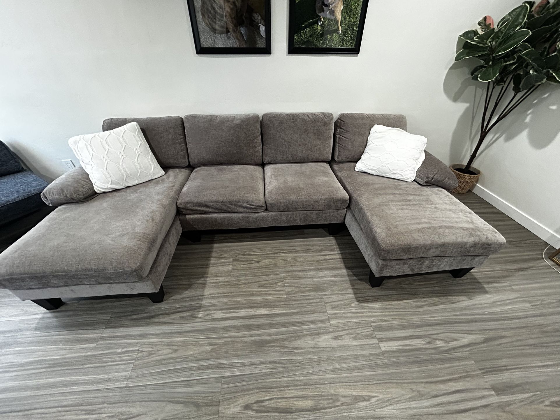 Grey Couch
