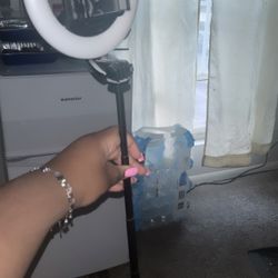 Selfie Stick And Light (Bower)