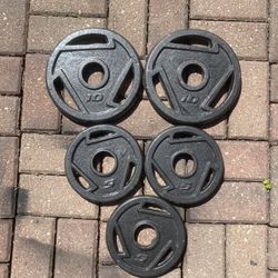 35lbs Olympic Plates
