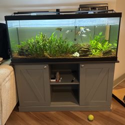 75 Gallon Fish Tank 