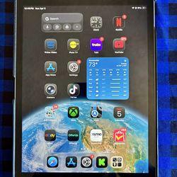 iPad 9th Gen (256GB)