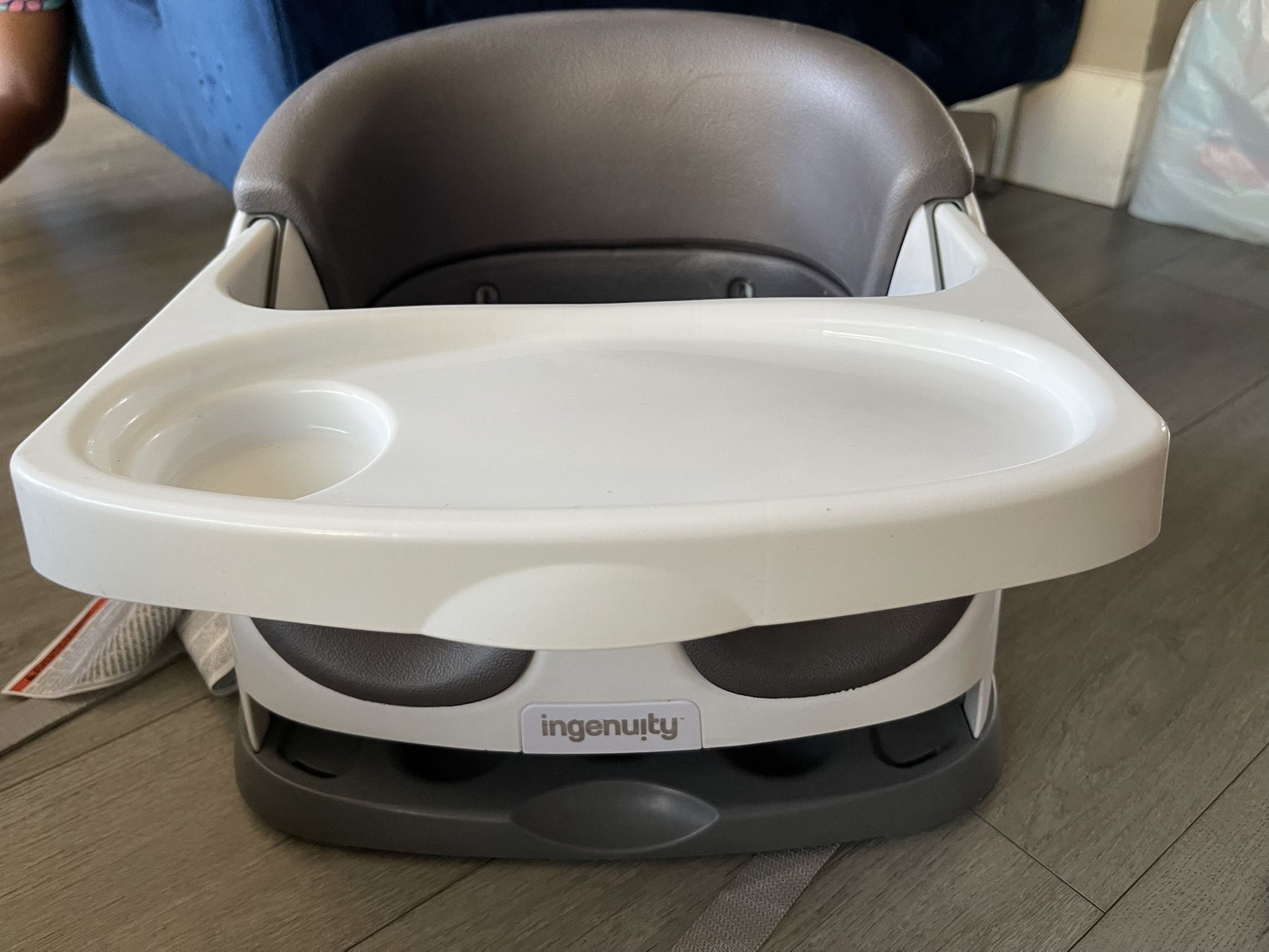 Ingenuity Booster Seat