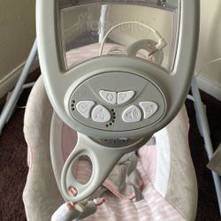 Ingenuity Swing 