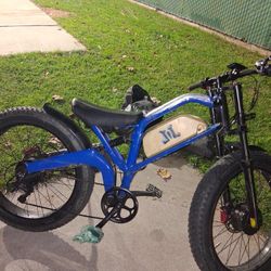 Dual 1000w Motor Ebike