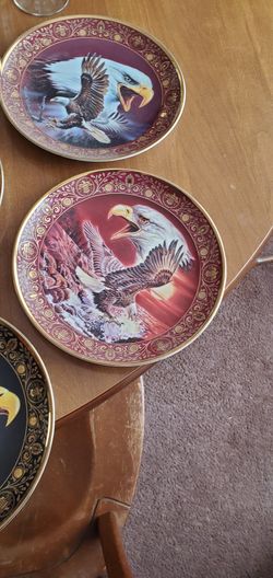 Eagle collective dishes
