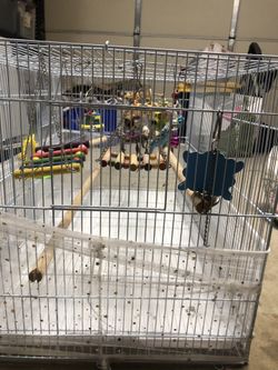 Bird Cage(Parakeet Conure Lovebird Cockatiel)