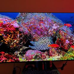 Samsung 65” S90D OLED 4K Smart TV (QN65S90DAFXZA)