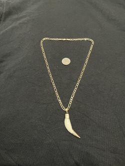 10kt gold chain and wolf fang