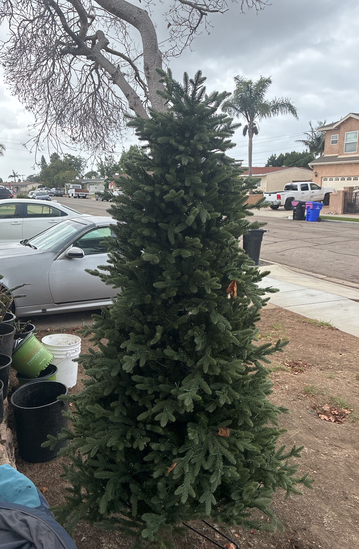 Christmas Tree Lighted 6ft Beauty