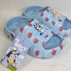 Bluey & Bingo Casual Clogs Boys Toddler Size 11/12