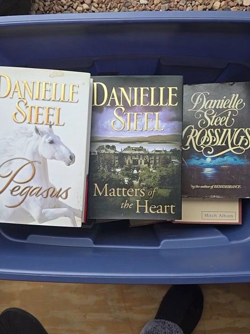 Large Size Tote FULL of Hardback Books
