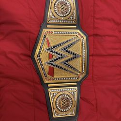 Wwe Undisputed Title 