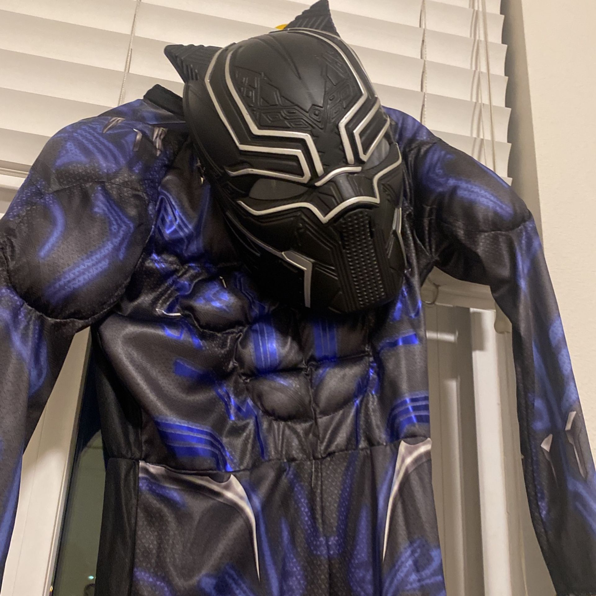 Black Panther Custom 