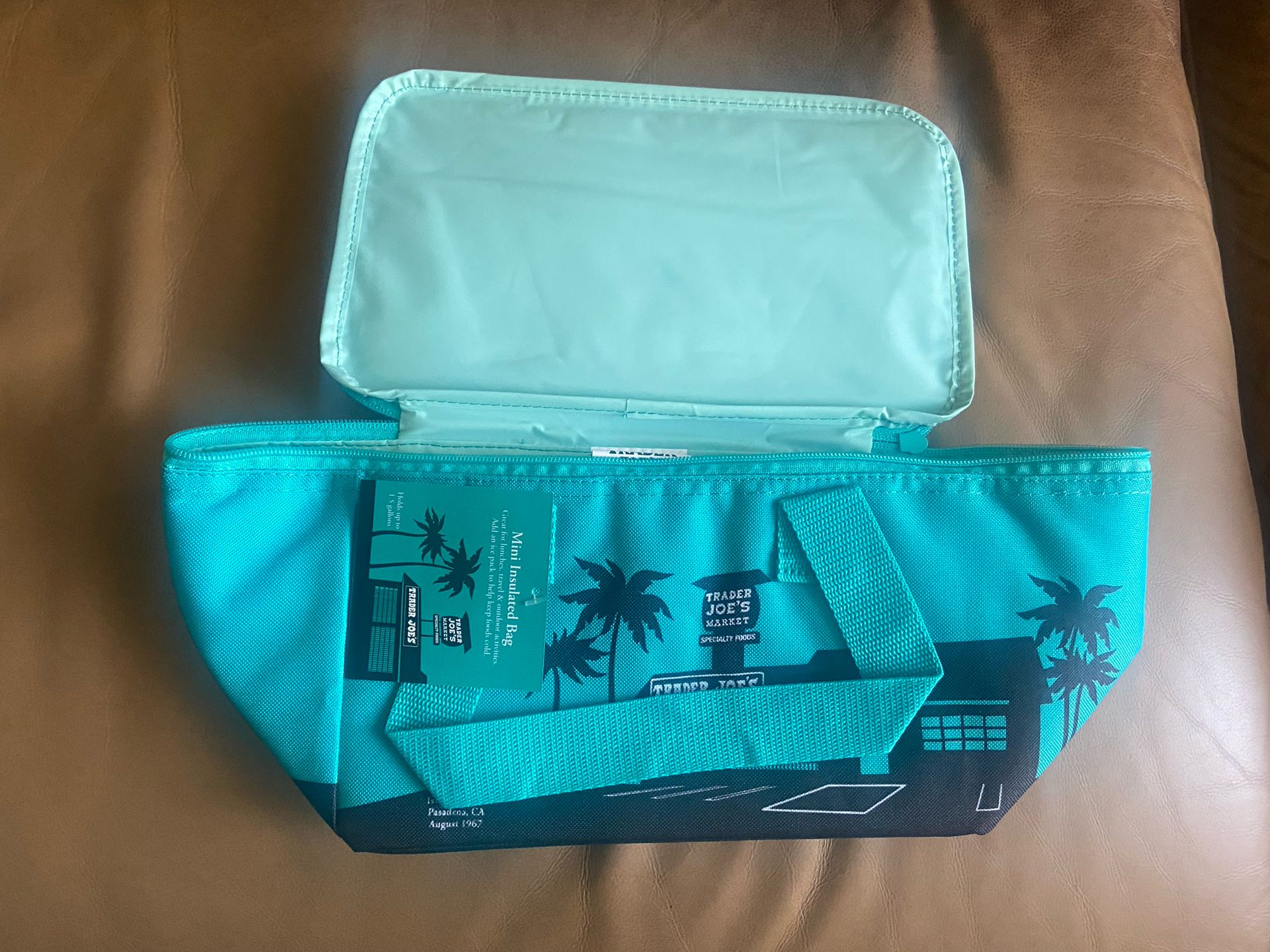 Trader Joe's Mini Insulated Tote Lunch Bag