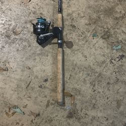 Full Carbon Fishing Rod, Pen Reel