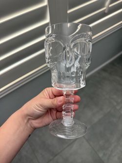 Clear Skull Goblet Wine Glass plastic set of 6